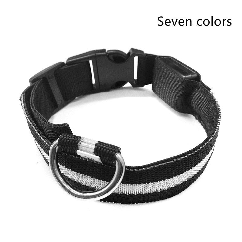 LED Dog Collar - Rechargeable Light-Up Safety Collar for Night Walks