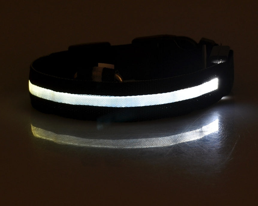 LED Dog Collar - Rechargeable Light-Up Safety Collar for Night Walks