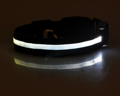 LED Dog Collar - Rechargeable Light-Up Safety Collar for Night Walks