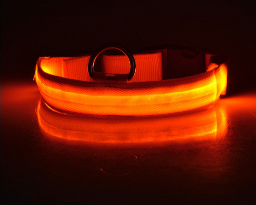 LED Dog Collar - Rechargeable Light-Up Safety Collar for Night Walks