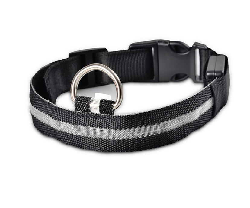 LED Dog Collar - Rechargeable Light-Up Safety Collar for Night Walks