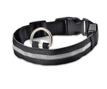 LED Dog Collar - Rechargeable Light-Up Safety Collar for Night Walks