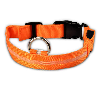 LED Dog Collar - Rechargeable Light-Up Safety Collar for Night Walks