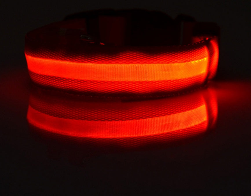 LED Dog Collar - Rechargeable Light-Up Safety Collar for Night Walks