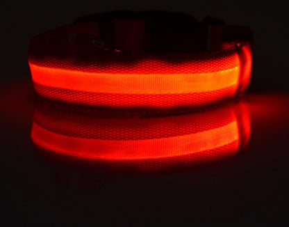 LED Dog Collar - Rechargeable Light-Up Safety Collar for Night Walks
