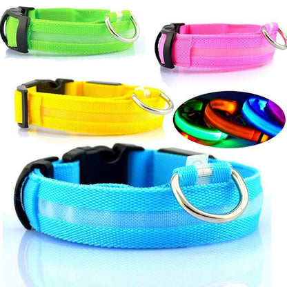 LED Dog Collar - Rechargeable Light-Up Safety Collar for Night Walks