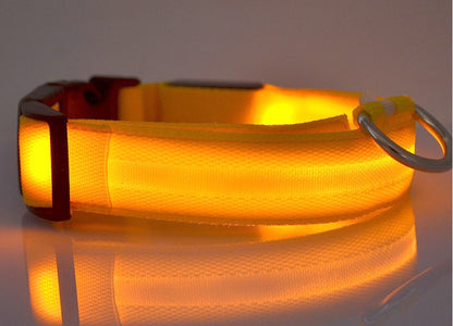 LED Dog Collar - Rechargeable Light-Up Safety Collar for Night Walks