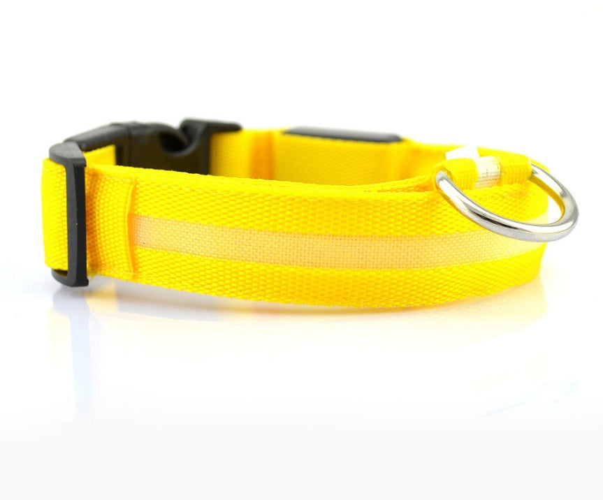 LED Dog Collar - Rechargeable Light-Up Safety Collar for Night Walks