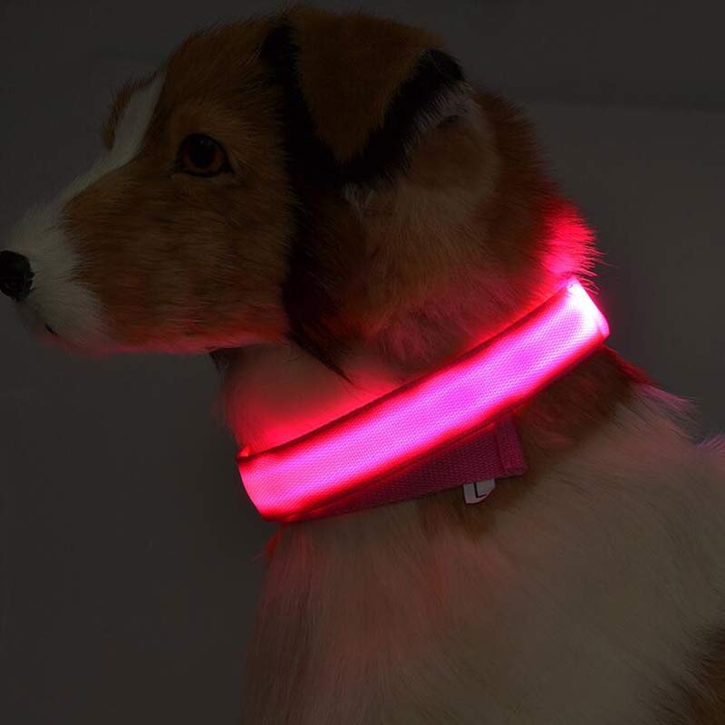 LED Dog Collar - Rechargeable Light-Up Safety Collar for Night Walks