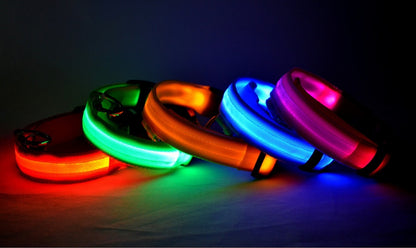 LED Dog Collar - Rechargeable Light-Up Safety Collar for Night Walks