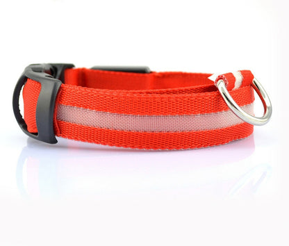 LED Dog Collar - Rechargeable Light-Up Safety Collar for Night Walks