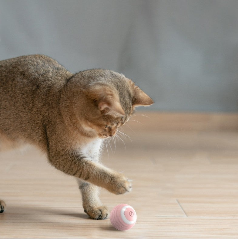 Automatic Moving Cat Toy Ball - Self-Rolling Interactive Kitten Toy