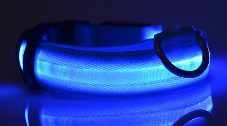 LED Dog Collar - Rechargeable Light-Up Safety Collar for Night Walks