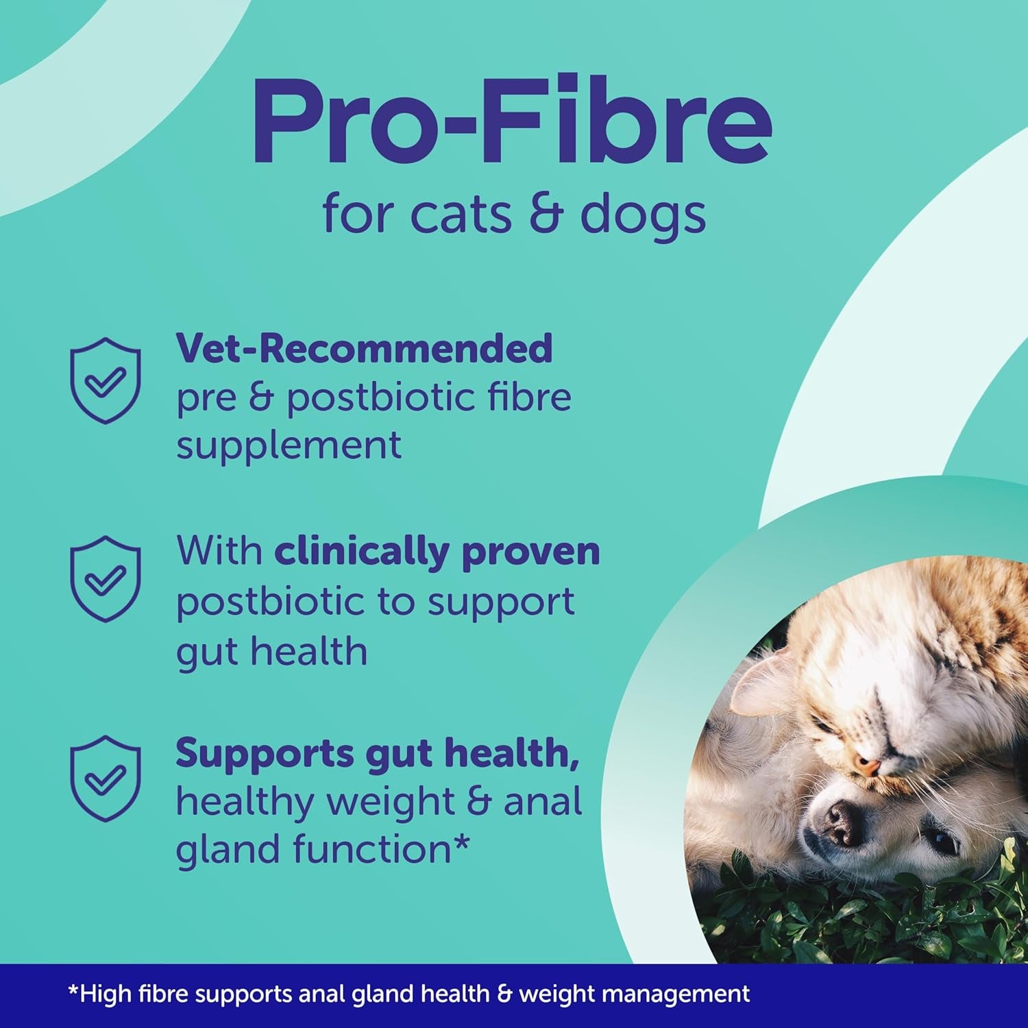 Pro-Fibre for Dogs – High-Fibre Digestive Supplement with Prebiotics & Postbiotics – Supports Gut Health, Digestion, Firm Stools & Anal Gland Function – Meat-Free Beef Flavour – 500G Pellets