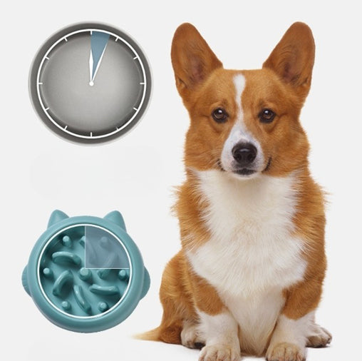 Slow Feeder Dog Bowl - Anti-Choking Pet Feeding Dish