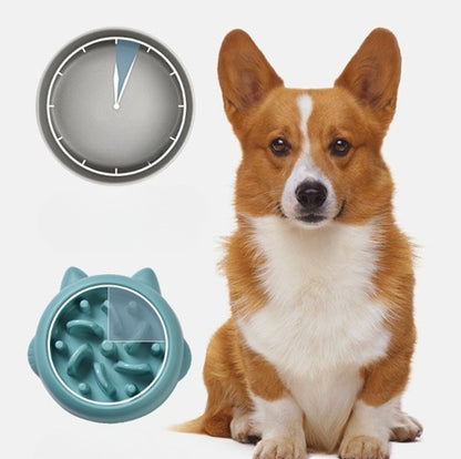 Slow Feeder Dog Bowl - Anti-Choking Pet Feeding Dish