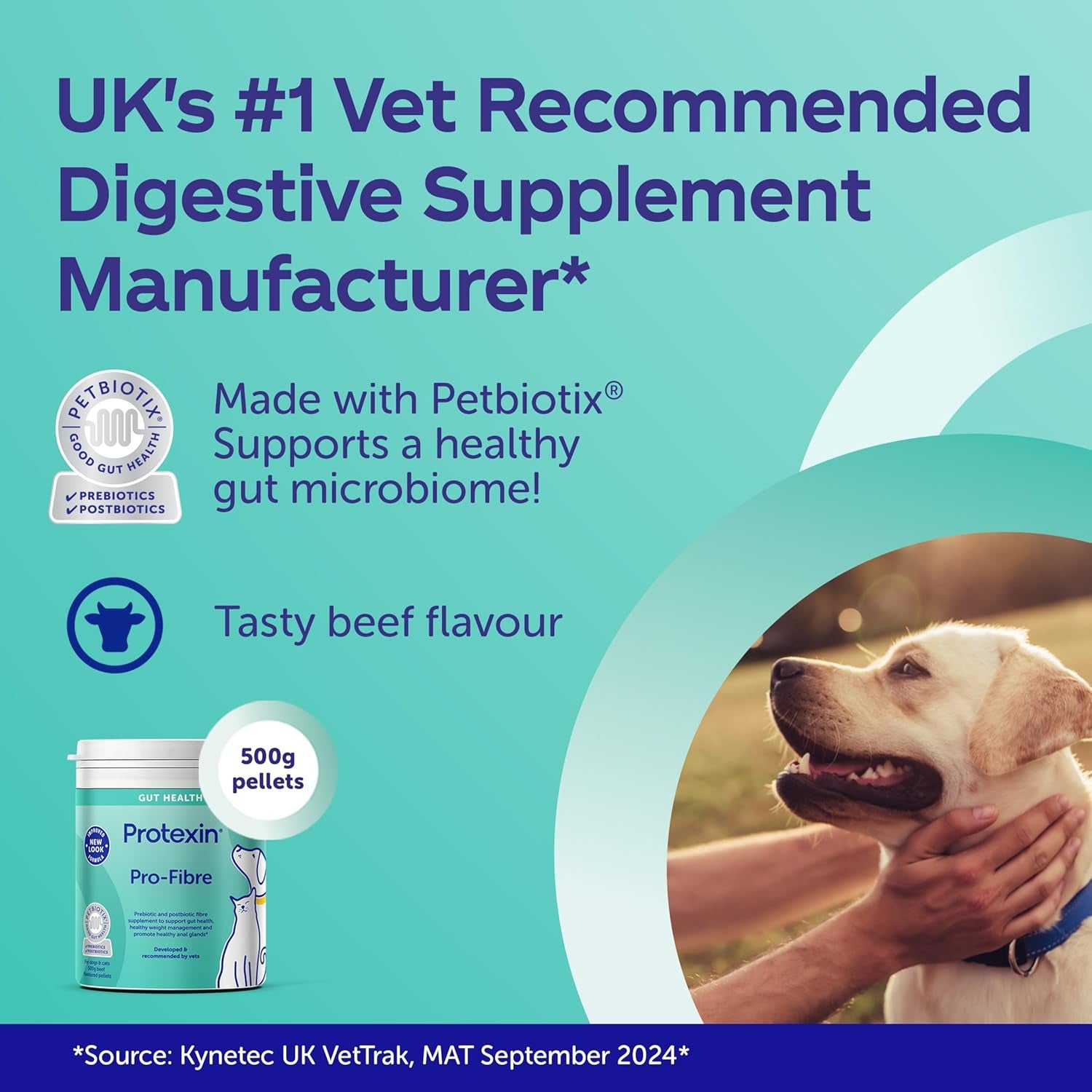 Pro-Fibre for Dogs – High-Fibre Digestive Supplement with Prebiotics & Postbiotics – Supports Gut Health, Digestion, Firm Stools & Anal Gland Function – Meat-Free Beef Flavour – 500G Pellets
